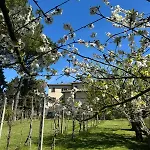 Le Due Querce