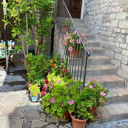Le Due Querce Holiday home