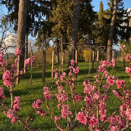 Casa de Férias Le Due Querce Vicolo Rancolfo