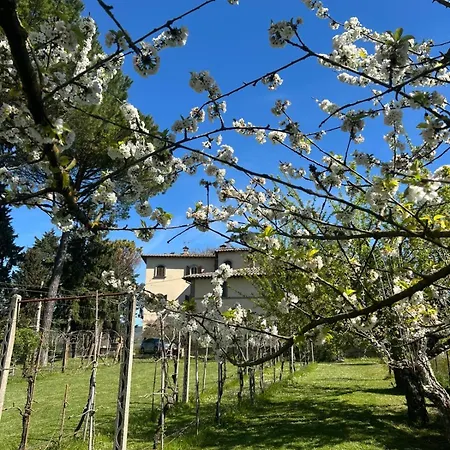 Le Due Querce