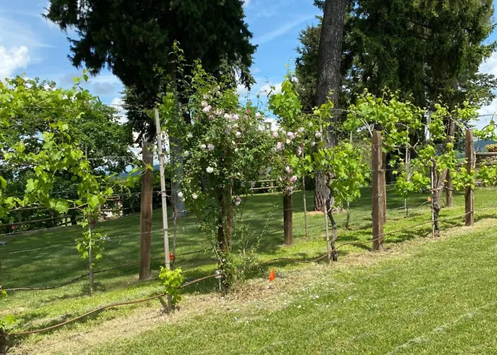 Le Due Querce Casa de Férias Vicolo Rancolfo
